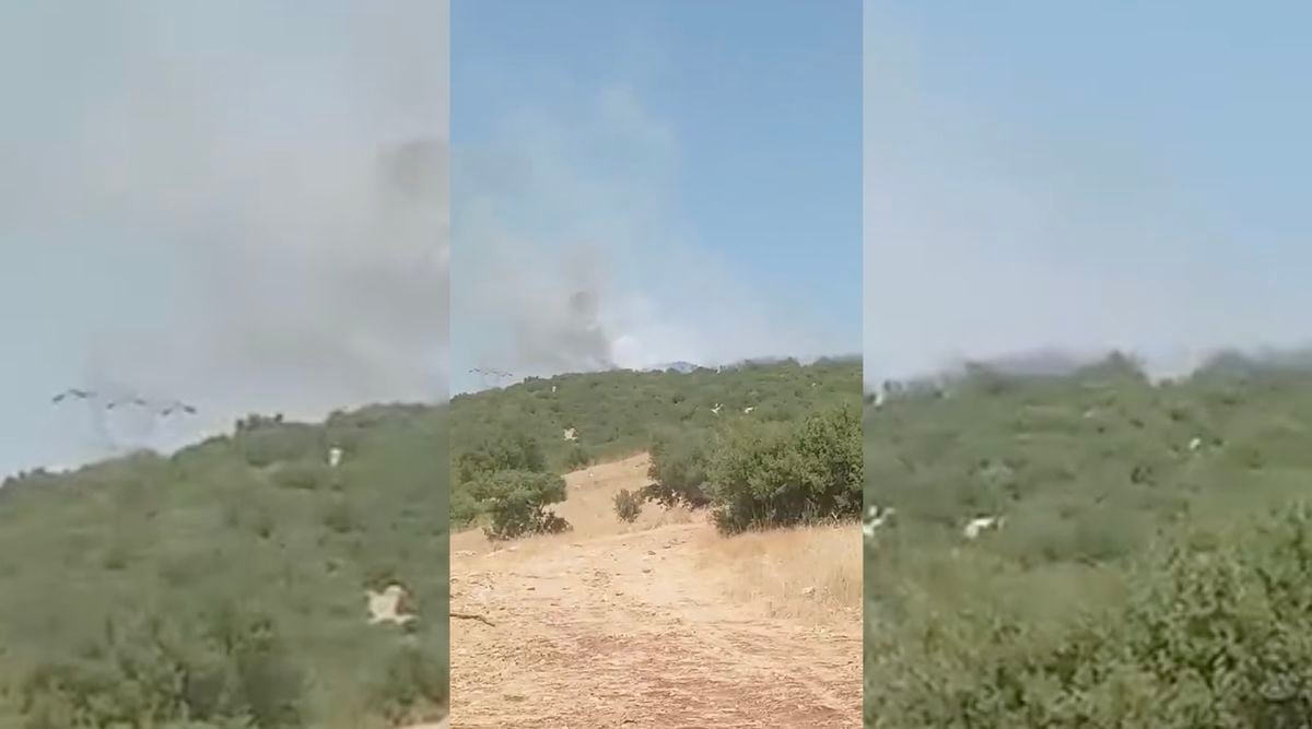 Besni'de Orman Yangını Kontrol Altına Alındı