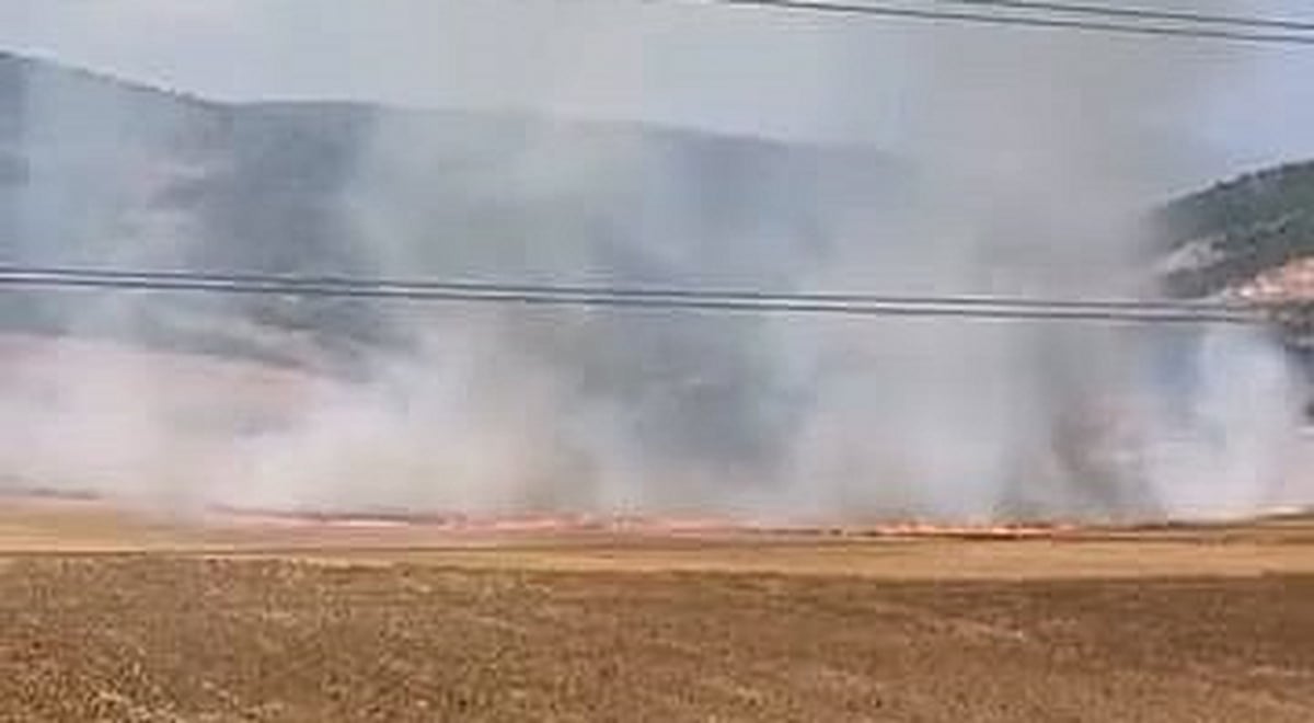 İnegöl'de Tarla Yangını: 16 Yaşındaki Şüpheli Gözaltında