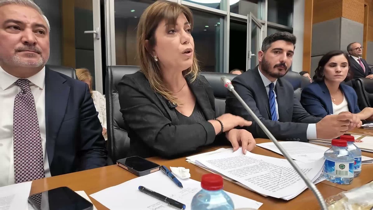 "Çerçeve Yasa" teklifi Adalet Komisyonu'nda... Danış Beştaş: Kürtler artık siyasetin malzemesi olmak istemiyor