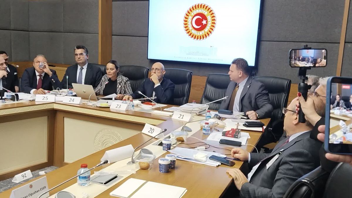 TBMM'de 'Pislik' Tartışması: Türkeş Taş ile Bülbül Arasında Gerginlik