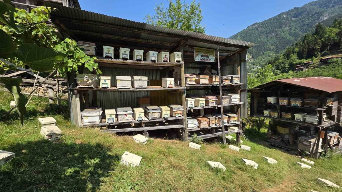 Macahel'de 2026 Bal Hasat Sezonu Törenle Açıldı
